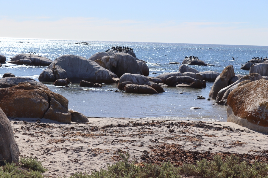 0 Bedroom Property for Sale in Steenbergs Cove Western Cape